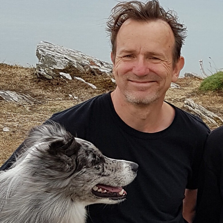 Hund Silver, gelegentlicher Begleiter im Coaching